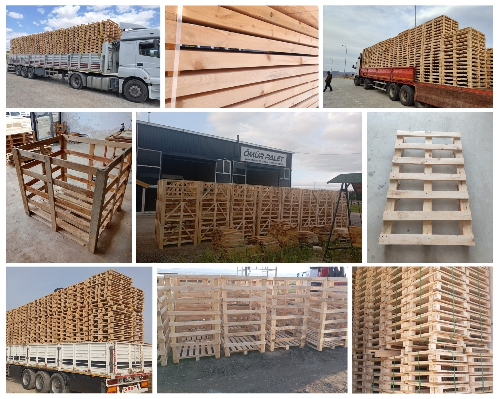 Douai Palette Europe, Acheter des palettes en gros